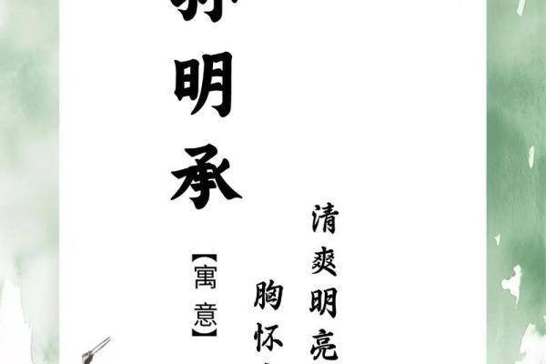 孙姓宝宝起名大全:独特又有寓意的最佳选择 孙姓宝宝起名大全:独特又有寓意的最佳选择
