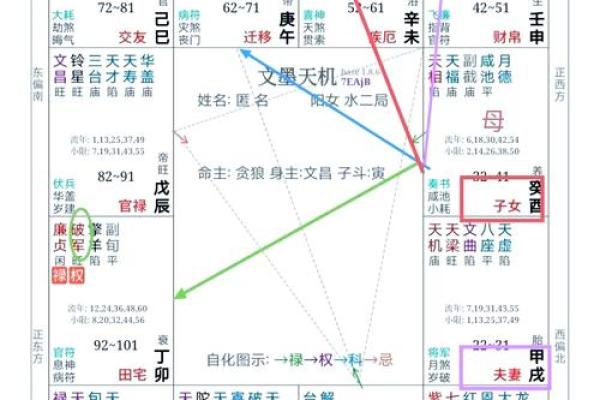 外国出生紫微斗数排盘解析：如何精准预测命运走向
