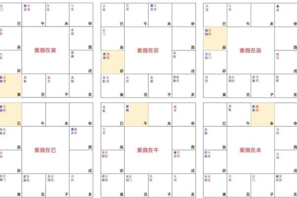 外国出生紫微斗数排盘解析：如何精准预测命运走向