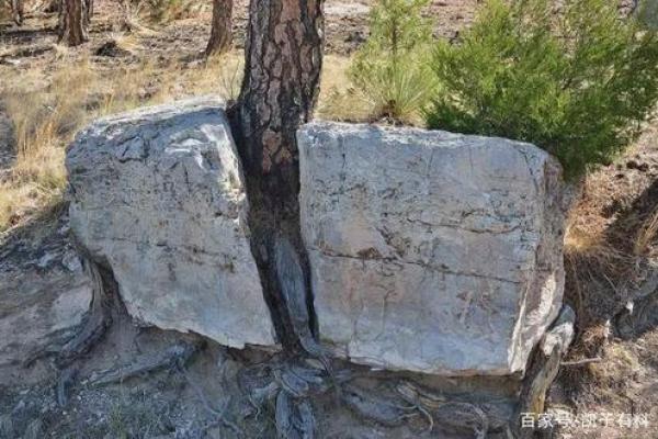 石五行到底属于什么？你可能从未听过的真相