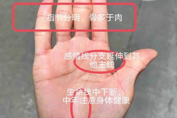 手相揭秘：看手相竟能预知子孙后代？快来一探究竟