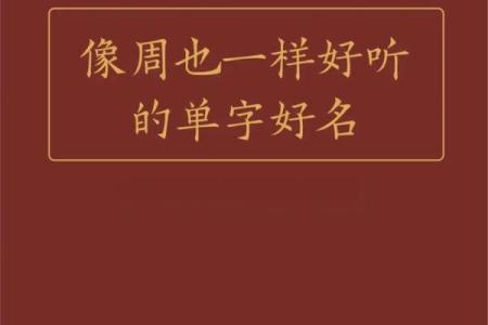 左姓女孩起名：寓意美好又独特的选择