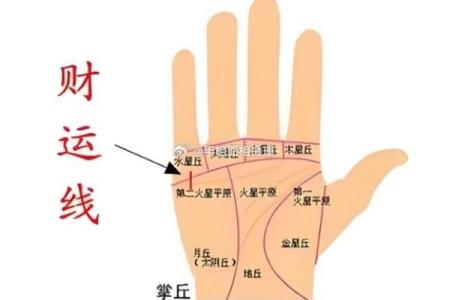 男人朱砂掌手相：财运亨通，运势旺盛的神秘手相揭秘