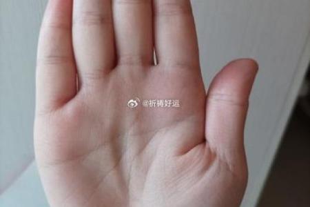 手相揭秘：岛屿线预示着怎样的婚姻命运？