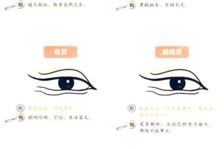 面相揭秘：一眼识破性格秘密，揭秘你的命运密码