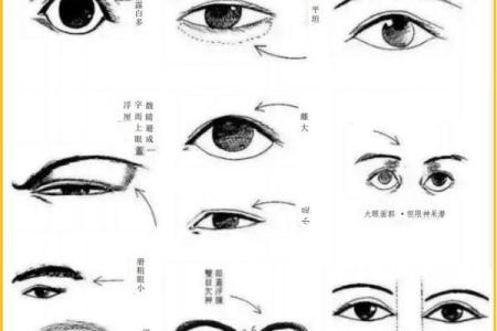 识人于微：头顶高，面相透露的不只是运势，还有你的命运走向