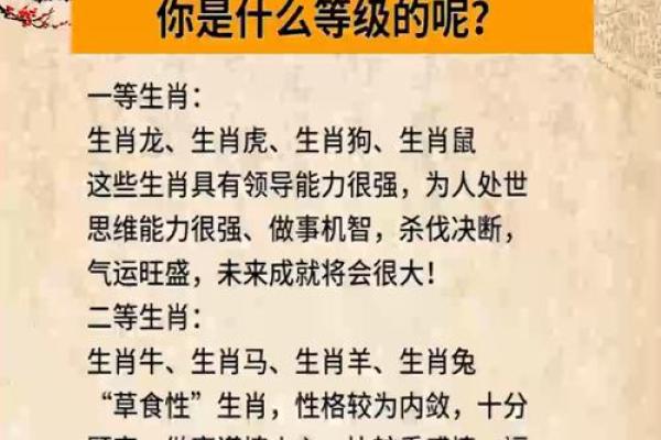 生肖风云：揭秘十二生肖的神奇力量
