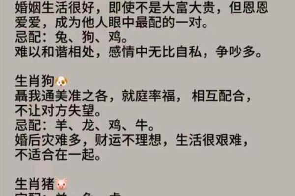 鼠你最佳拍档：属相配对大揭秘