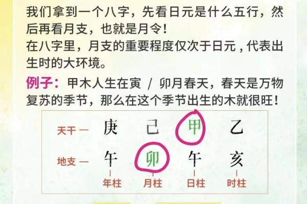 八字入门：教你轻松看懂自己的命运