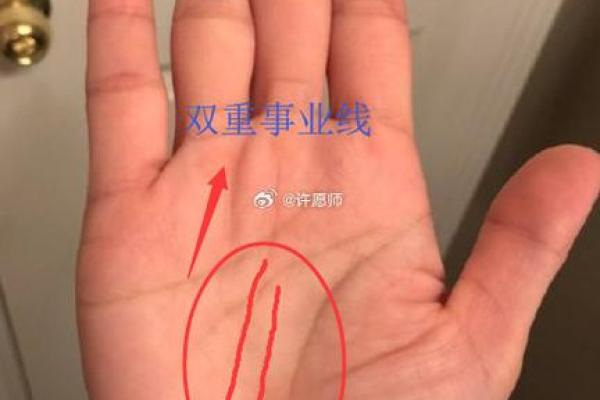 金手相握，揭秘命运之谜