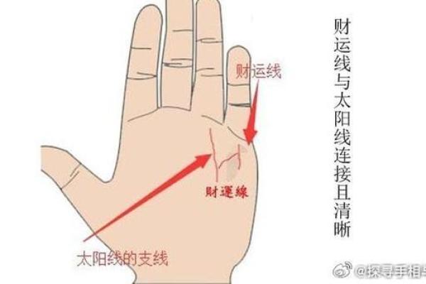 太阳线在手，运势亨通：揭秘手相中的财富密码