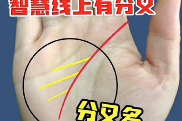 太阳线在手，运势亨通：揭秘手相中的财富密码