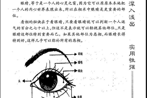 识人于面,面相揭秘:揭秘面相背后的惊人秘密 识人于面,面相揭秘:揭秘面相背后的惊人秘密