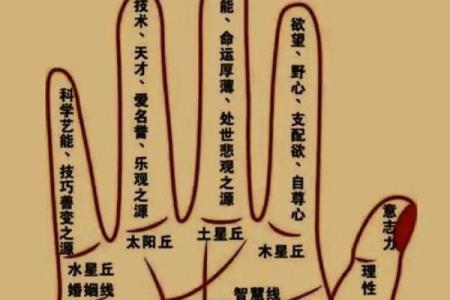 十斗在手，财运亨通，揭秘手相中的富贵密码