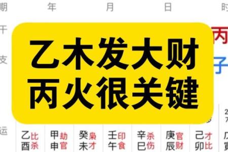 乙木天干的独特魅力，如何发掘潜力助你成功