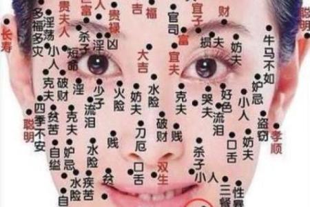 脸上痣相全解密:看痣相,测运势,揭秘你的未来