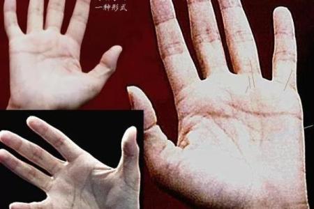 金手相握，揭秘命运之谜