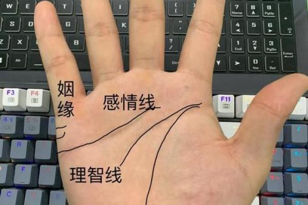 揭秘:手相能乱看?揭秘手相解读背后的真相 揭秘:手相能乱看?揭秘手相解读背后的真相