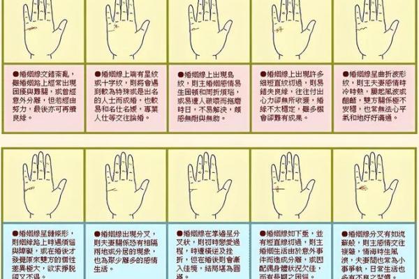揭秘手相密码：三种独特指纹，揭秘你的命运轨迹