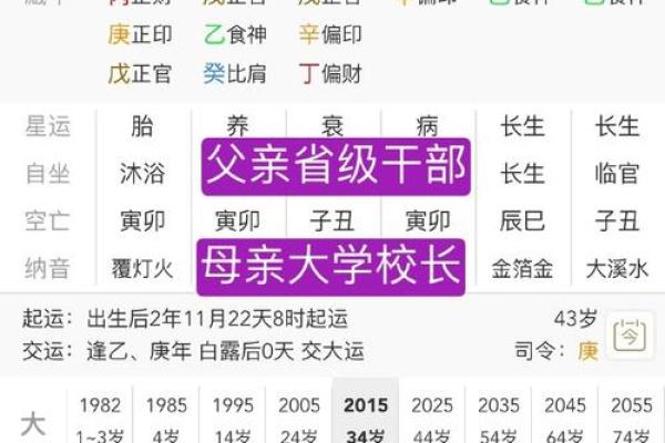 八字排盘地支如何影响你的一生？你不得不知的真相