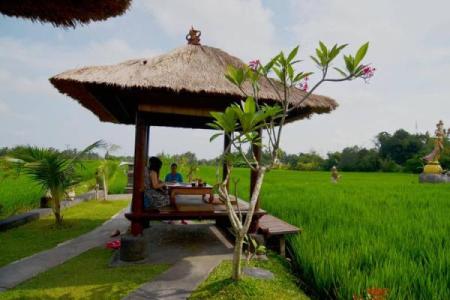 牛羊恋曲，跨界组合成焦点