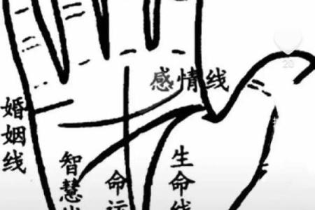 手相大揭秘：揭秘怀孕线的神奇位置，孕妈咪必看
