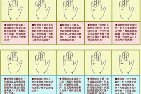揭秘：手相中的神秘鱼形纹，预示着怎样的命运走向？