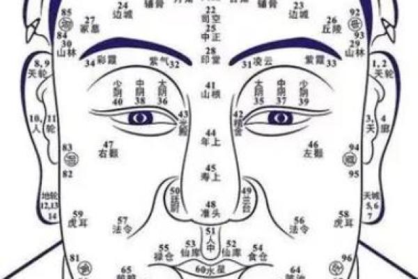 面相识人心,揭秘12大绝密面相密码 面相识人心,揭秘12大绝密面相密码