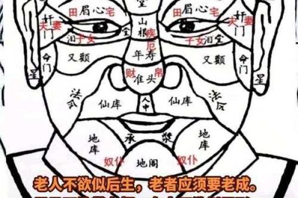 面相识人心,揭秘12大绝密面相密码 面相识人心,揭秘12大绝密面相密码