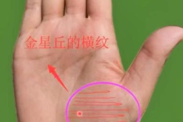 手相中的神秘开运线，揭秘你的财运密码