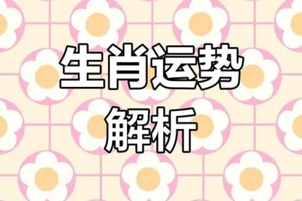 通生肖大揭秘：揭秘你的生肖运势