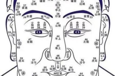 面相识人心，揭秘12大绝密面相密码