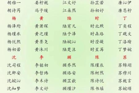 谢姓起名指南：给孩子起个与众不同的名字