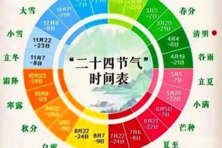 月份与节气排盘的深度对比，哪个更精准？