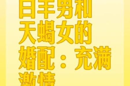 男兔女马婚姻相配度分析：星座与性格的契合与挑战