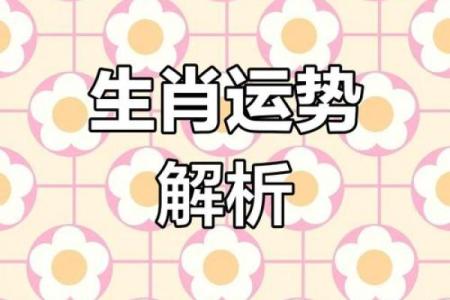 通生肖大揭秘：揭秘你的生肖运势