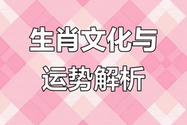 十二生肖：揭秘生肖背后的神秘力量与运势解析