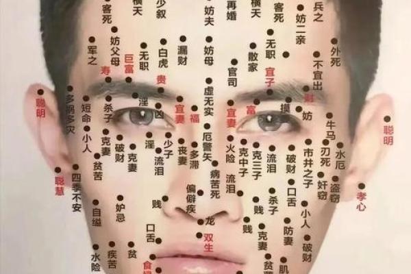 面相宝典，一眼识人，财运亨通，富贵吉祥