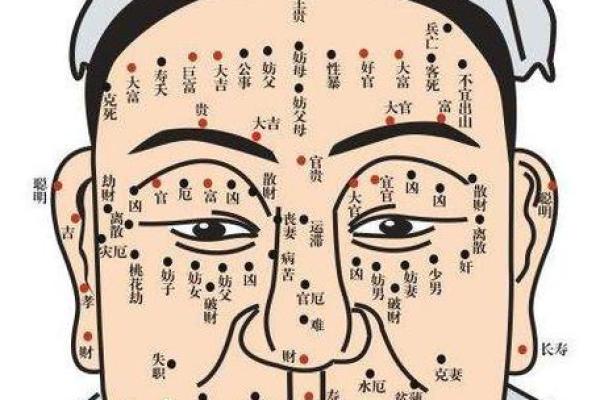 痣相探秘:图解常见痣相,让你一眼看穿运势吉凶 痣相探秘:图解常见痣相,让你一眼看穿运势吉凶