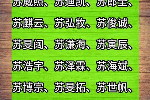 专家推荐：如何为苏姓宝宝起一个完美名字