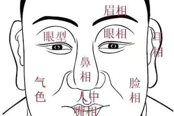 一眼识真爱的面相密码：揭秘你的情缘面相