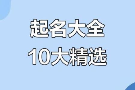 精准起名，选对软件让你名字更有吸引力
