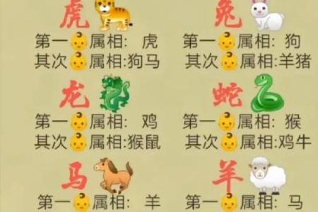 十二生肖：揭秘生肖背后的神秘力量与运势解析