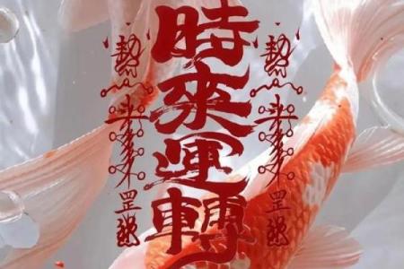 燥土旺相运势佳