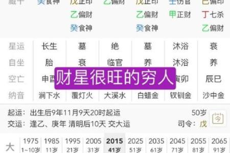 深度解析乙丑八字：从命理学角度看人生起伏