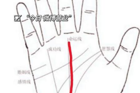 手相圆圈揭秘：揭秘你的运势和属相