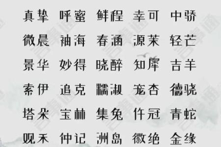 公司起名秘笈：如何选出一个既独特又易记的名字