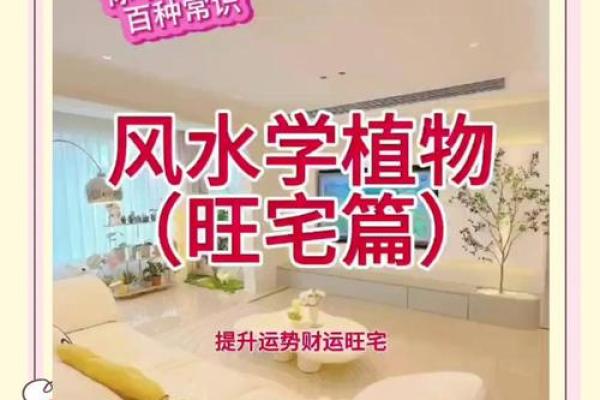 碧玉旺风水？揭秘家居风水中的神秘力量