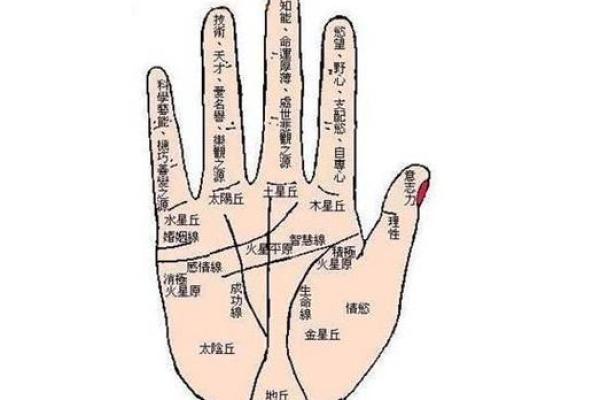 掌握文墨，一指见真章：揭秘作家必备的神奇手相