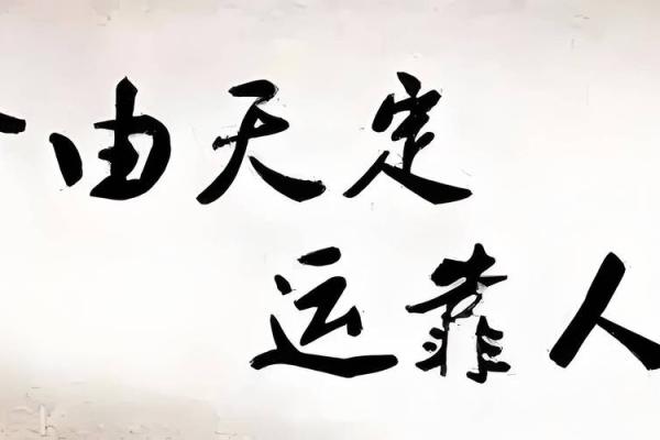 了解好八字，开启好运的人生之门